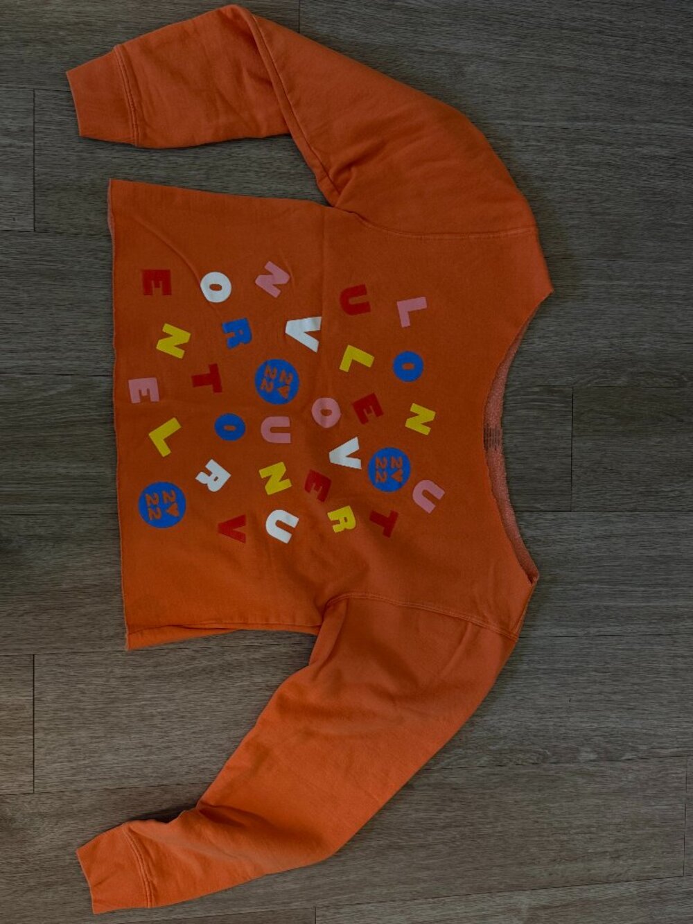 Harry Styles (Love on Tour) Cropped Sweatshirt